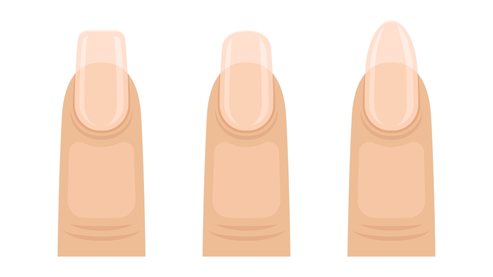 nail shape