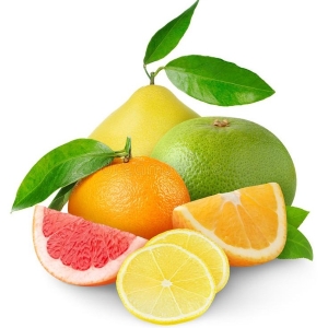 Various citrus fruits on a white background