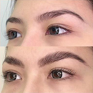 Eyebrows and eyelashes