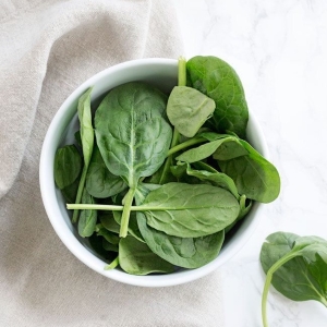 Fresh spinach leaves in bowl